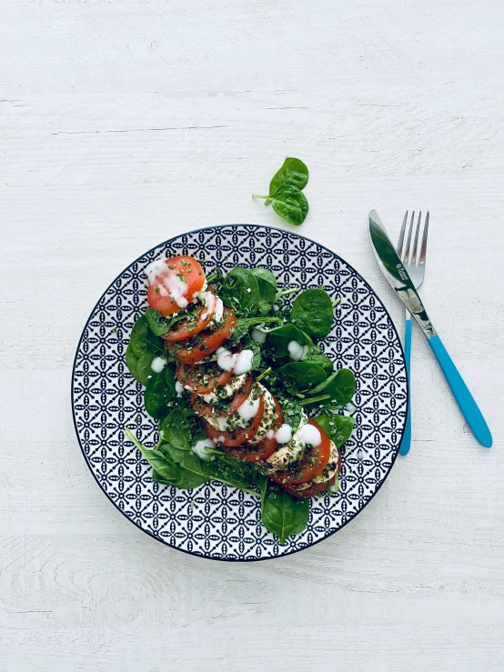 a close up of a plate of food on a table, profile image, basil, thumbnail, flatlay