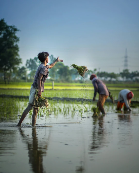 a group of people working in a rice field, pexels contest winner, renaissance, lgbtq, hindu, a photo of a man, in a pond