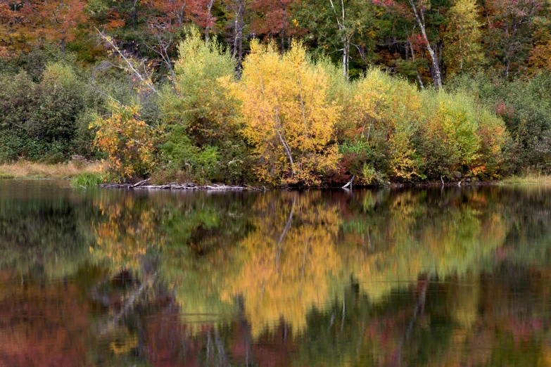 a large body of water surrounded by trees, by Jan Rustem, flickr, layers of colorful reflections, fan favorite, konica minolta, new hampshire