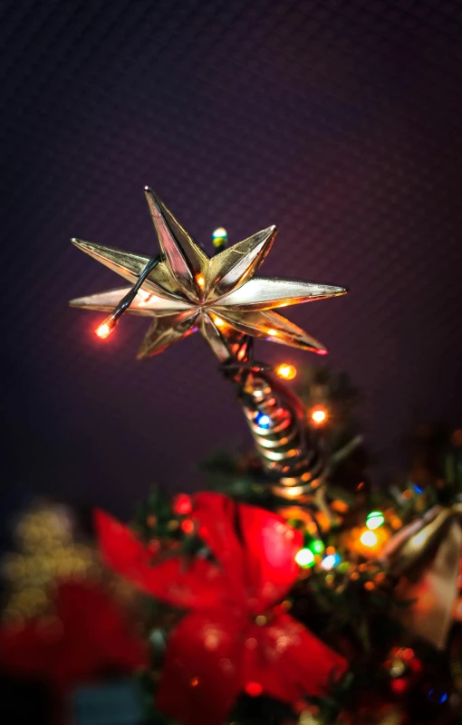 a christmas tree with a star on top of it, by John Covert, pexels, art nouveau, metallic light, closeup portrait shot, wand, high quality photo