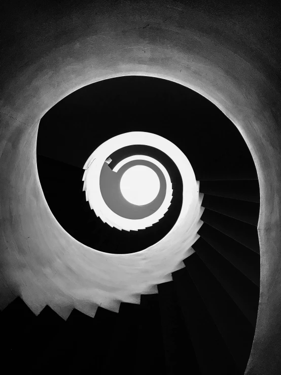 a black and white photo of a spiral staircase, a black and white photo, by Wojciech Gerson, orphism, fine art america, wayne barlowe pierre pellegrini, by joseph binder, snail