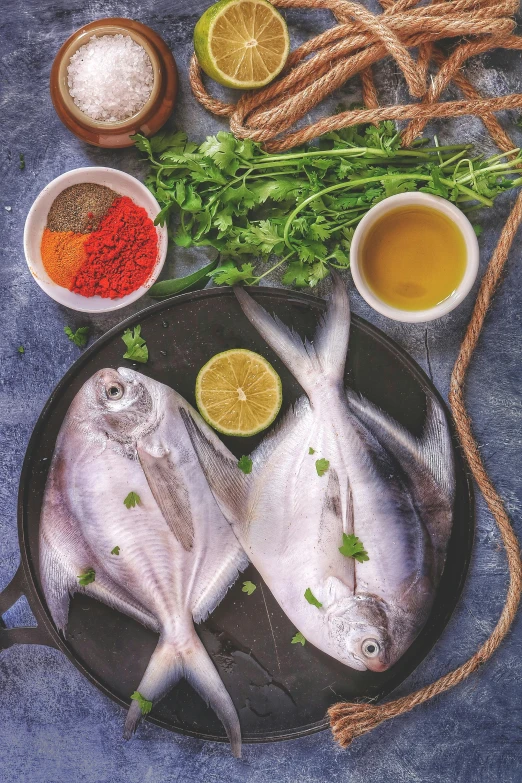 a couple of fish sitting on top of a pan, a digital rendering, trending on pexels, dau-al-set, ingredients on the table, moroccan, essence, ilustration