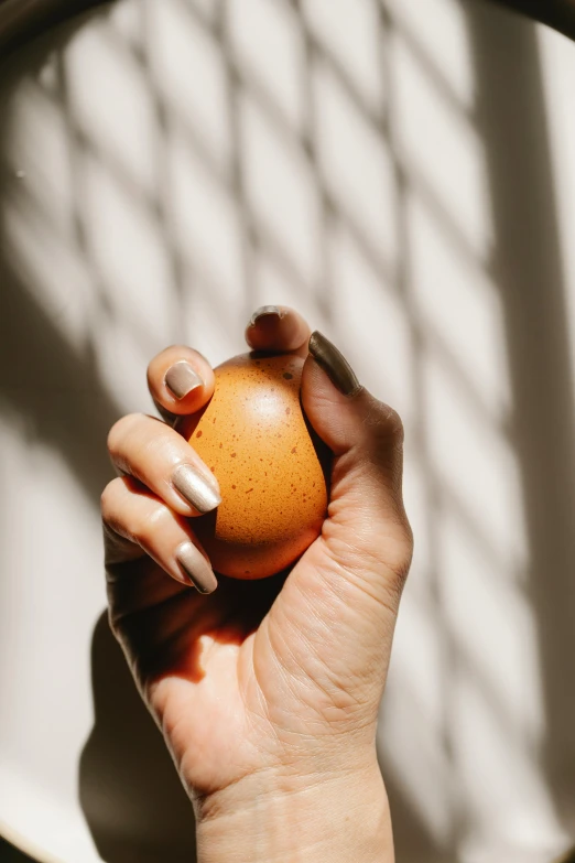 a person holding an orange in their hand, trending on pexels, ornate egg, fully rendered light to shadow, chicken, aura