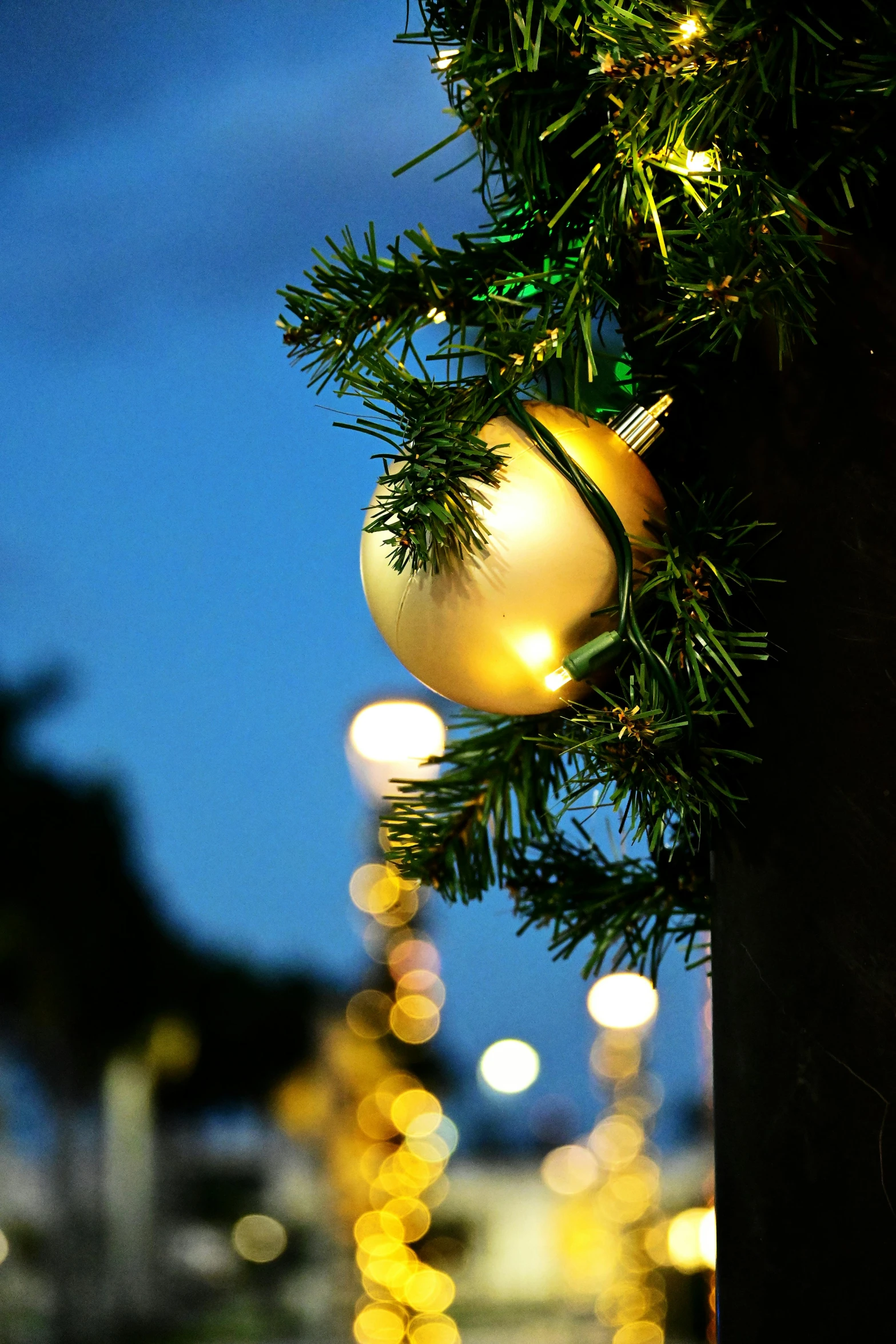 a close up of a christmas tree with lights in the background, by Niko Henrichon, happening, streetlamps, golden orbs, evening sun, organic ornament