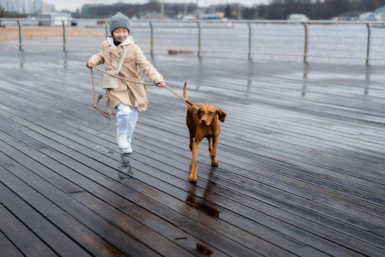 a woman walking a brown dog on a leash, by Julia Pishtar, pexels contest winner, visual art, girl in raincoat, boardwalk, kids, running freely