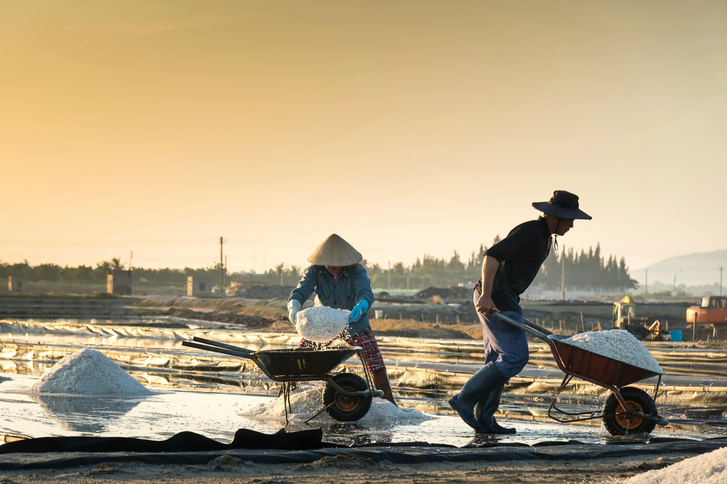 a couple of people with a wheelbarrow in a field, by Andries Stock, pexels contest winner, fishing village, ao dai, avatar image