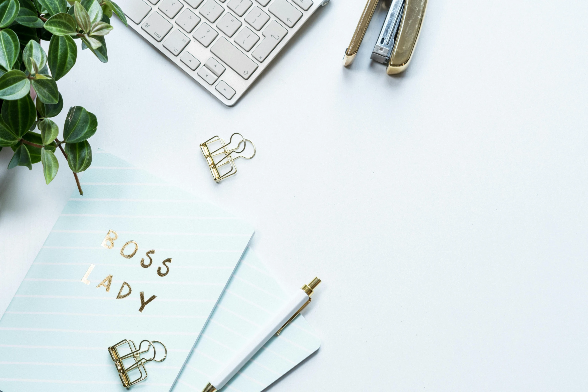 a computer keyboard sitting on top of a desk next to a plant, trending on pexels, private press, gold adornements, background image, planner stickers, set against a white background