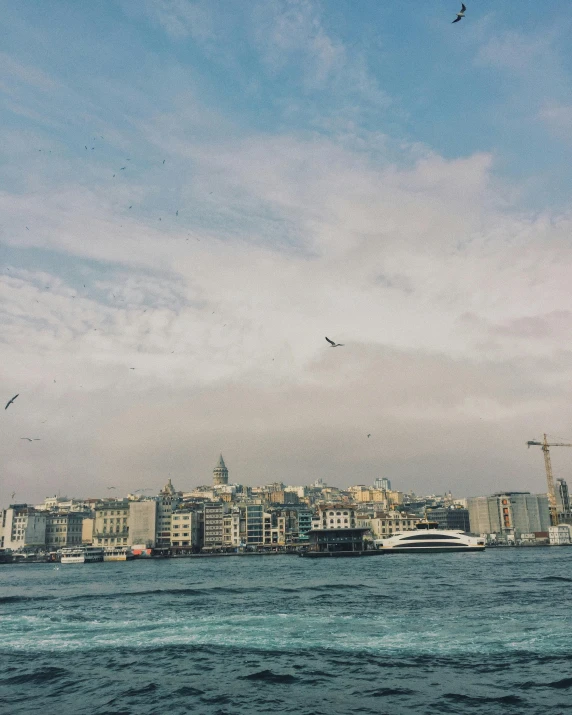 a group of birds flying over a body of water, an album cover, pexels contest winner, hurufiyya, istanbul, lgbtq, high-rise buildings, background image