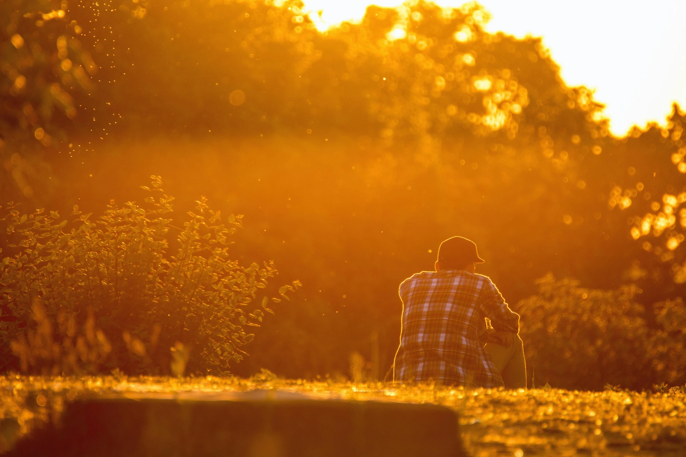 a man sitting on top of a lush green field, a picture, unsplash, process art, autumn sunrise warm light, fishing, amber glow, sun glare