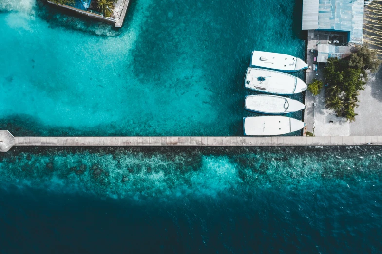 a couple of boats sitting on top of a body of water, by Daniel Seghers, pexels contest winner, tropical reef, docks, flatlay, in a row