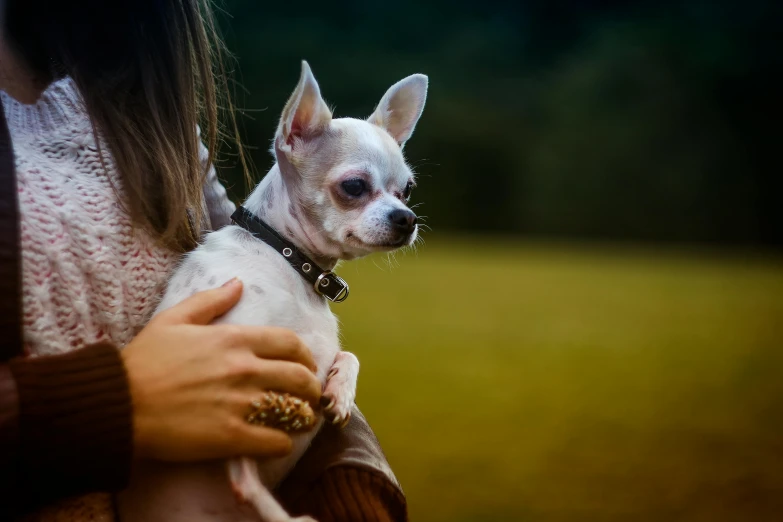 a woman holding a small dog in her arms, by Emma Andijewska, pexels contest winner, renaissance, chihuahua, square, hairless, distant photo