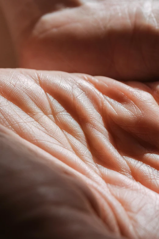 a close up of a person's hand holding something, intricate wrinkles, synthetic skin, rippling muscles