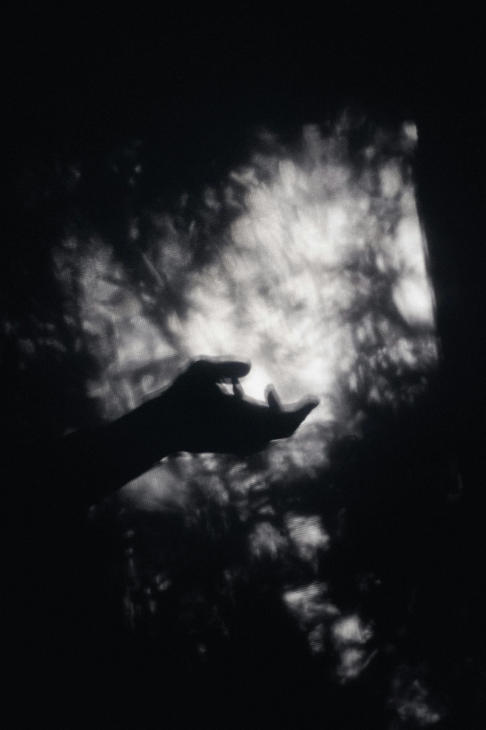 a person holding something in their hand in the dark, inspired by Germaine Krull, unsplash, light and space, under the soft shadow of a tree, in a cloud, taken on a 1960s kodak camera, during an eclipse