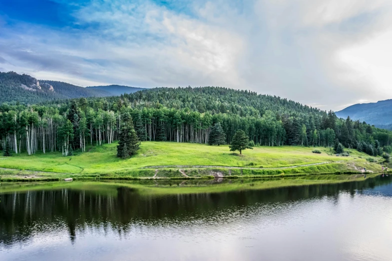 a large body of water next to a forest, pexels contest winner, land art, new mexico, golf course, evergreen, trees in the grassy hills
