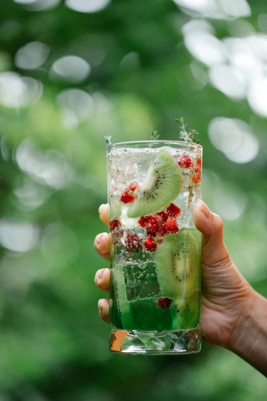 a person holding a glass of water with fruit in it, green sparkles, botanicals, kiwi, al fresco