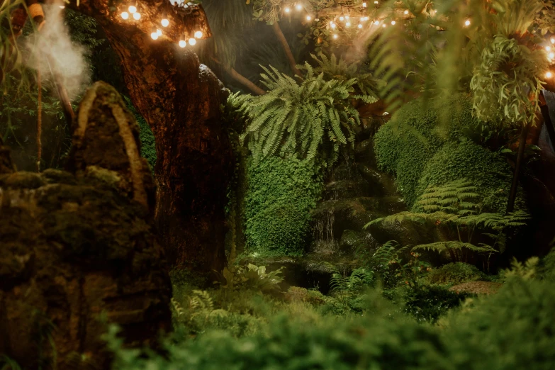 a forest filled with lots of trees covered in lights, a detailed matte painting, unsplash contest winner, environmental art, in a garden full of ferns, unreal engine 5 render 16k, miniature world, terrarium lounge area