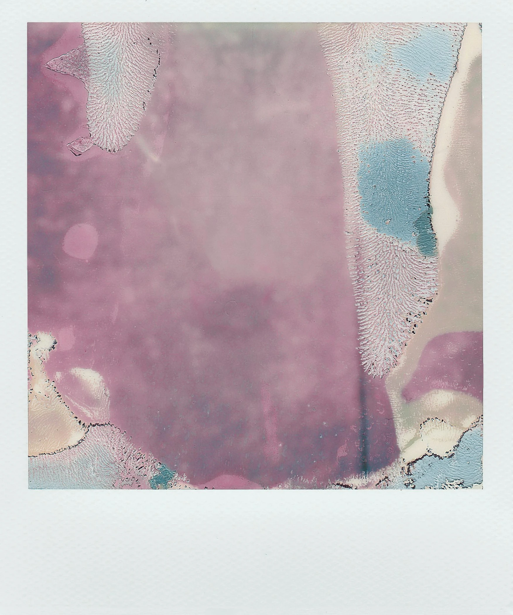 a polar polar polar polar polar polar polar polar polar polar polar polar polar polar polar polar polar polar polar polar polar polar polar polar polar polar polar, a polaroid photo, inspired by Julian Schnabel, color field, abstracted, in style of petra collins, squashed berry stains, 1960s color photograph