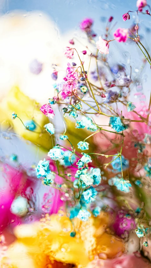 a bunch of flowers sitting on top of a table, by Rachel Reckitt, trending on unsplash, conceptual art, ethereal rainbow bubbles, gypsophila, blue and pink colour splash, detail shot