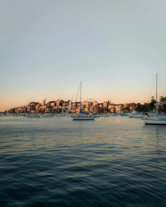 a group of boats floating on top of a body of water, manly, in the golden hour, buildings in the distance, ignant