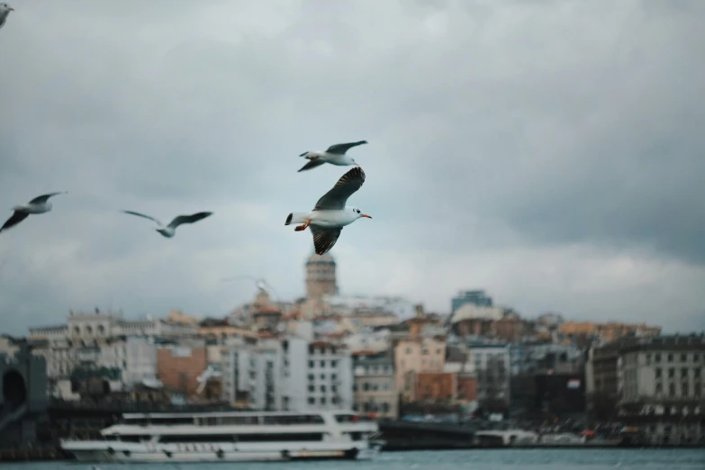 a flock of seagulls flying over a body of water, pexels contest winner, istanbul, overcast! cinematic focus, 🦩🪐🐞👩🏻🦳, three birds flying around it