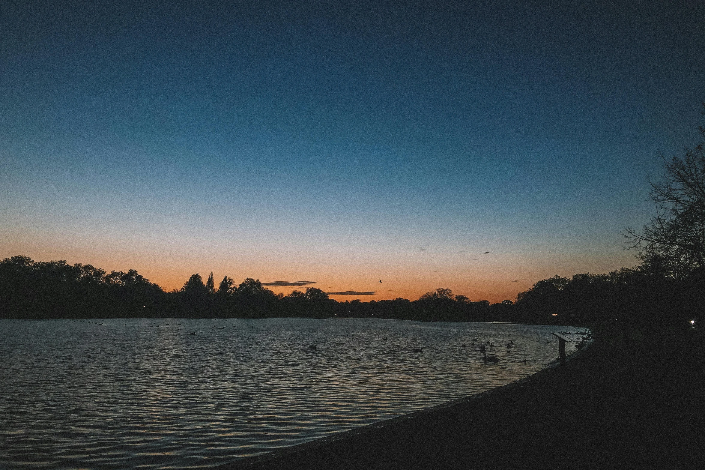 a lake filled with lots of water next to a forest, an album cover, unsplash contest winner, aestheticism, twilight skyline, mystical kew gardens, there is midnight sunset, soft evening lighting