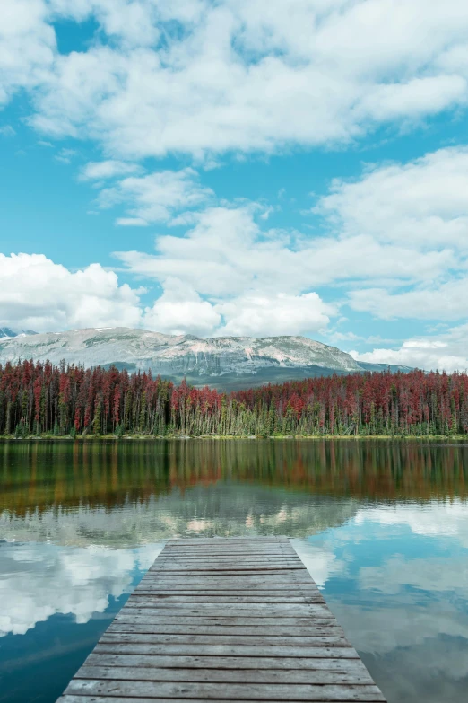 a dock sitting on top of a lake next to a forest, inspired by Wes Anderson, pexels contest winner, banff national park, turbulent blood lake, nordic forest colors, big sky