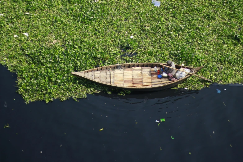 a small boat floating on top of a body of water, by Joseph Severn, pexels contest winner, hurufiyya, old dhaka, aquatic plants, flatlay, yann arthus - bertrand