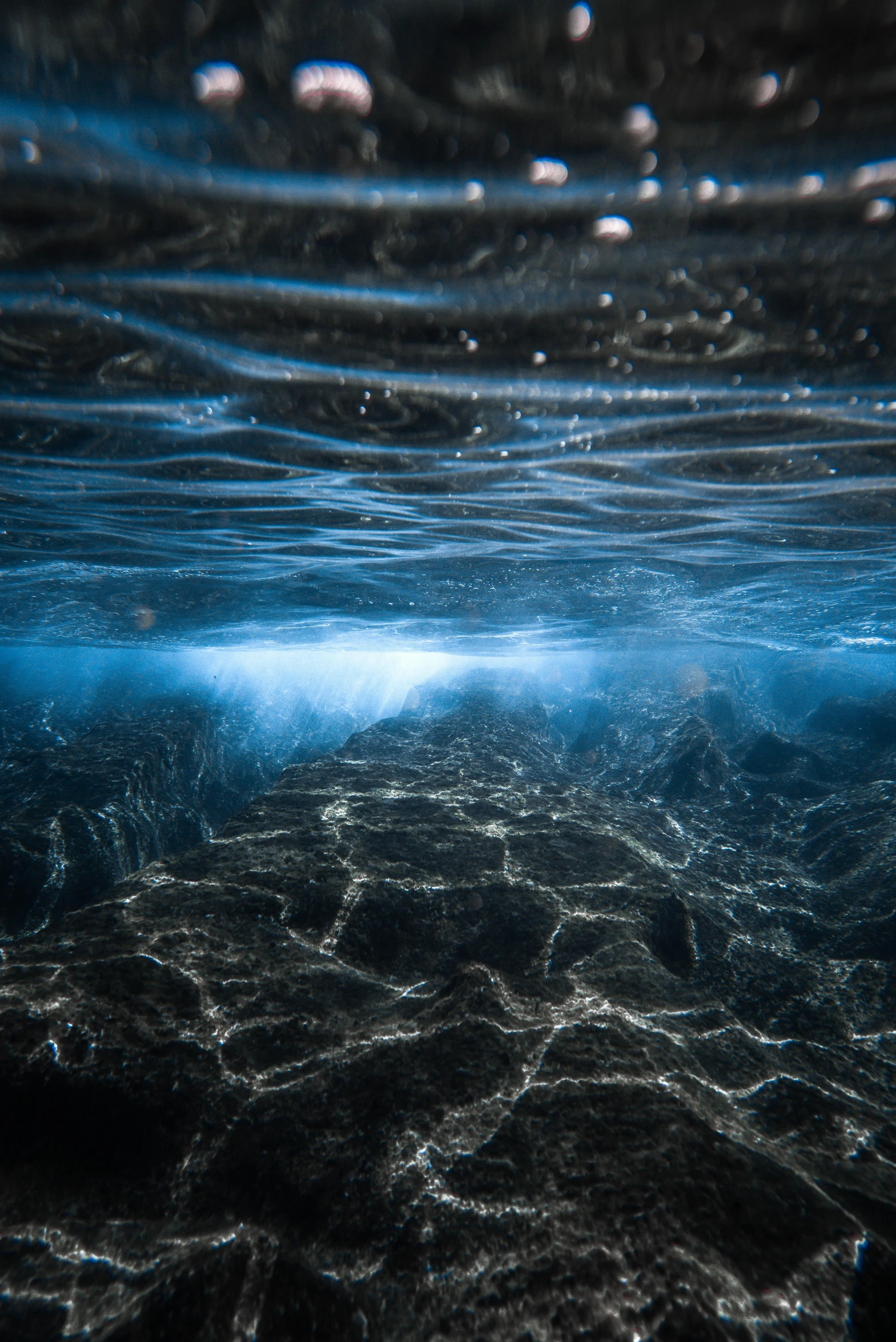a view of the ocean from the bottom of the water, a picture, by Daniel Seghers, unsplash contest winner, light and space, intense subsurface scattering, black-water-background, sparkling cove, magnetic waves