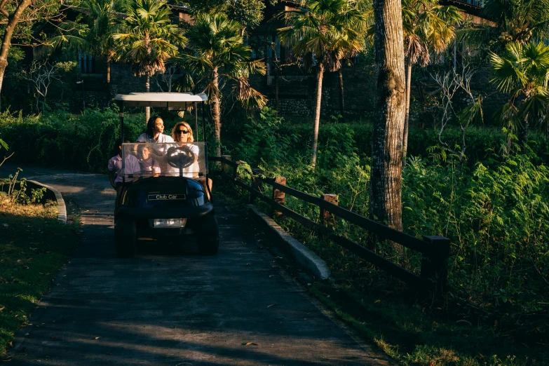 a couple of people riding on the back of a golf cart, unsplash, in the tropical wood, avatar image, sun coast, ladies