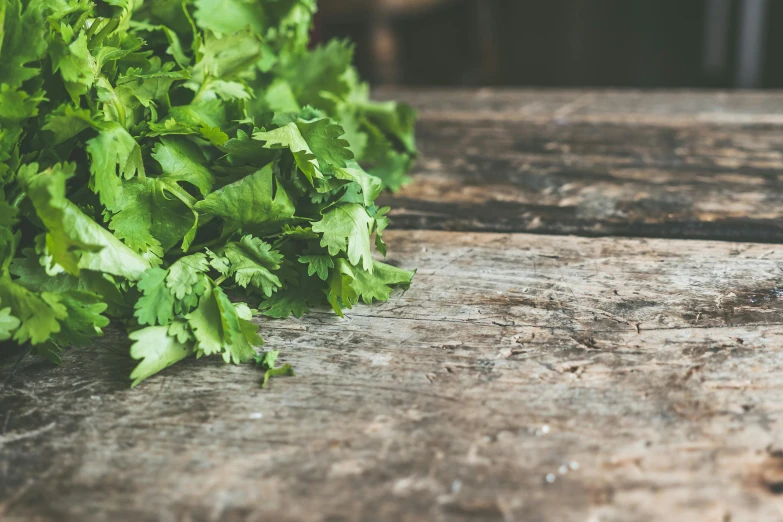 a bunch of parsley sitting on top of a wooden table, unsplash, 9 9 designs, portrait image, recipe, uncrop