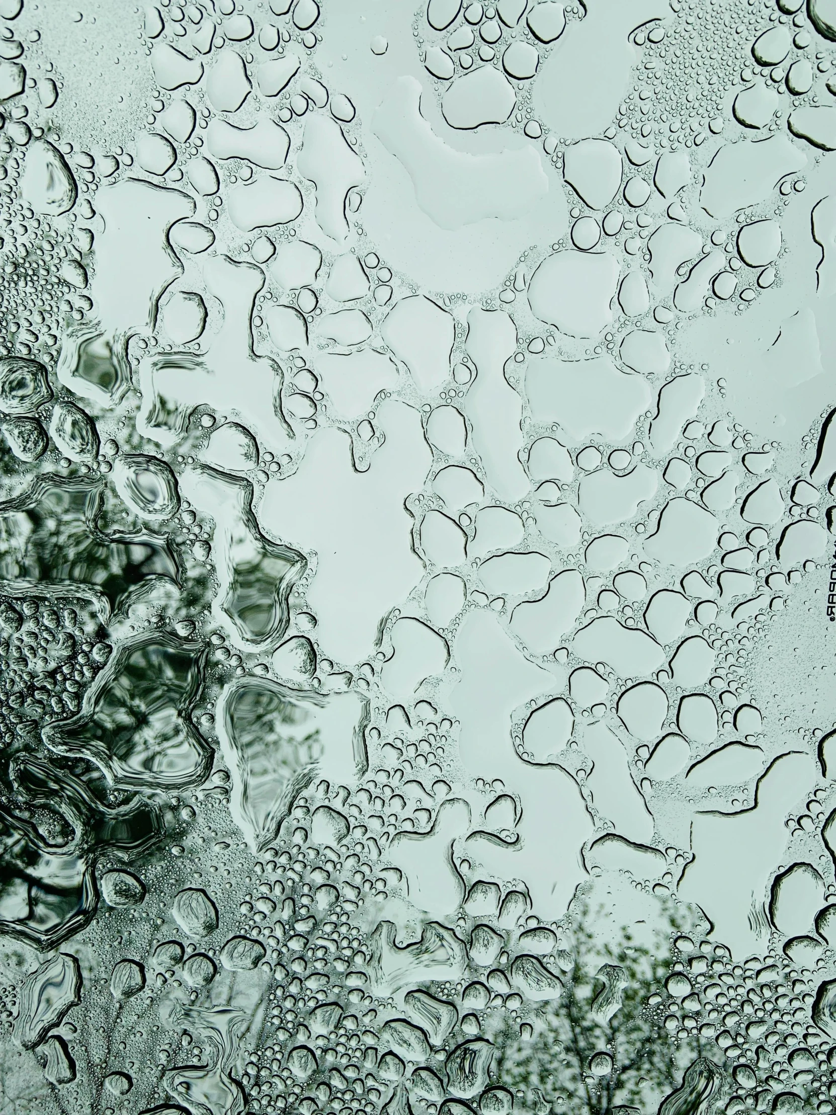 a close up of water droplets on a window, a microscopic photo, inspired by Lucio Fontana, unsplash, generative art, seaglass, etched relief, molecular gastronomy, cell shaded