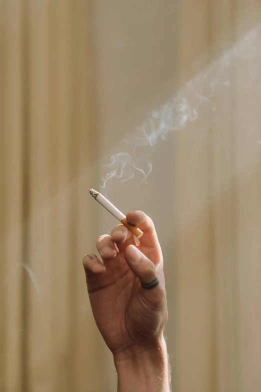 a close up of a person holding a cigarette, smoke filled room, profile image, flare, at home