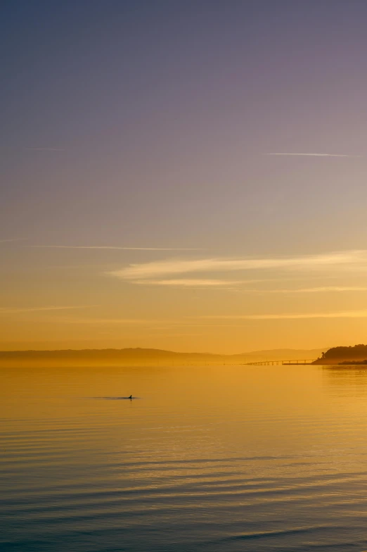 the sun is setting over a body of water, by Doug Ohlson, romanticism, lisbon, yellow mist, sup, split near the left