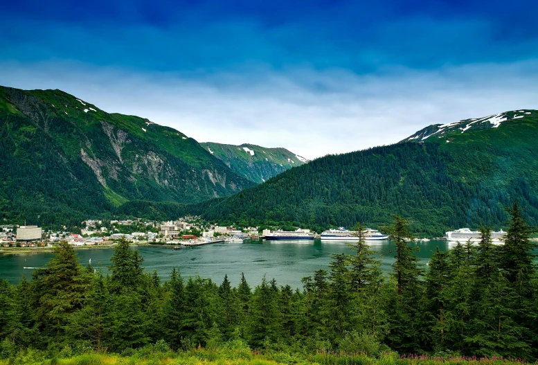 a large body of water surrounded by trees, a tilt shift photo, by Julia Pishtar, pexels contest winner, alaska, small port village, mountains, panoramic