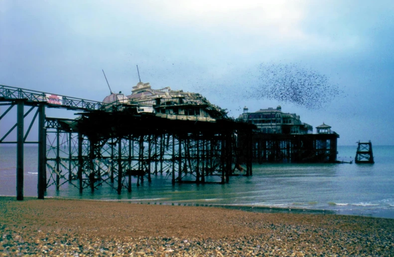 a flock of birds flying over a beach next to a pier, a colorized photo, by Paul Bird, vhs colour photography, full of ferrofluid, 1987 photograph, martin parr