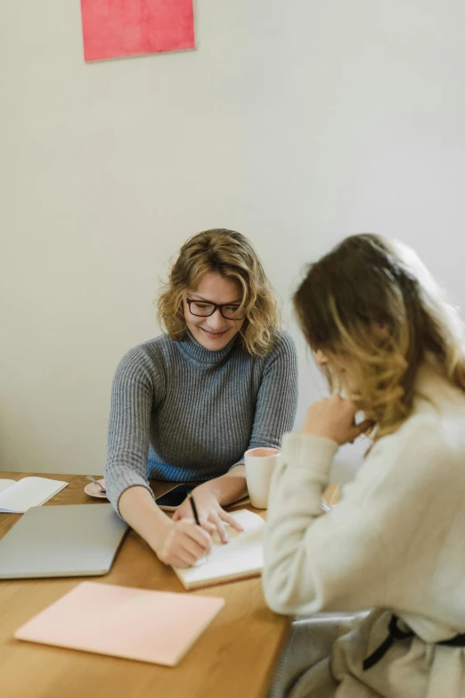 two women sitting at a table working on laptops, by Jessie Algie, trending on unsplash, academic art, wearing business casual dress, writing on a clipboard, teacher, grey