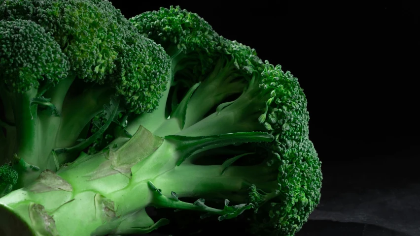a close up of a piece of broccoli on a table, inspired by Choi Buk, pexels, hyperrealism, with a black background, uncrop, vegetables, mega detailed