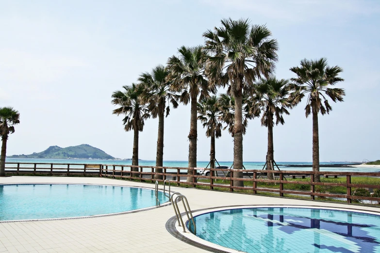 an empty swimming pool surrounded by palm trees, by Aguri Uchida, unsplash, shin hanga, next to the sea, jin shan, family friendly, !!award-winning!!