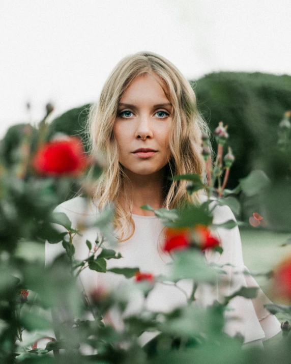 a woman standing in a field of roses, inspired by Anna Boch, trending on unsplash, blonde hair and large eyes, elizabeth olsen, androgynous male, multiple stories