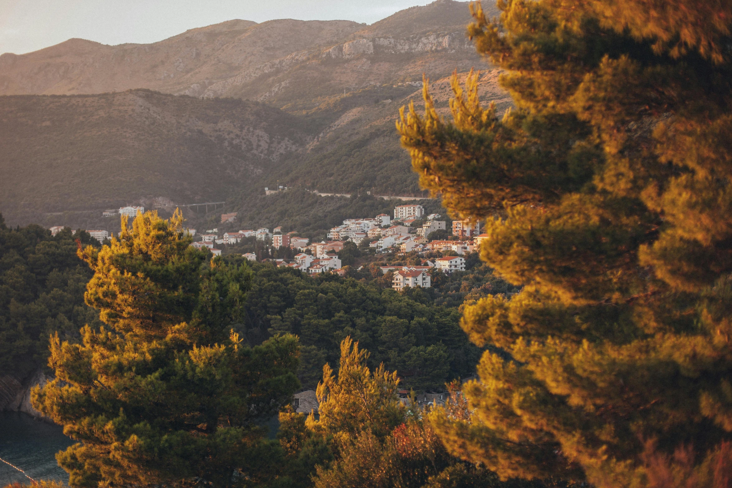 a view of a town from the top of a hill, unsplash contest winner, les nabis, pine trees in the background, boka, golden hour hues, split near the left