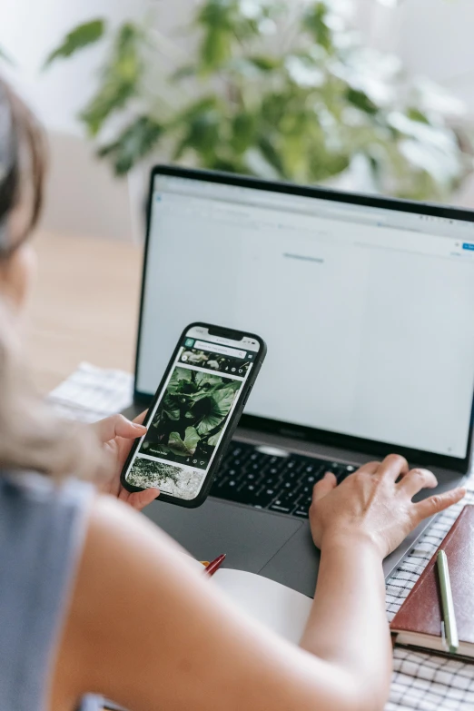 a woman sitting at a table with a laptop and a cell phone, trending on pexels, next to a plant, corporate phone app icon, high quality photo, behance lemanoosh