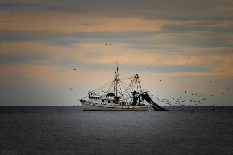 a large boat floating on top of a body of water, by Andries Stock, pexels contest winner, fishing boat, alabama, big graphic seiner ship, early evening