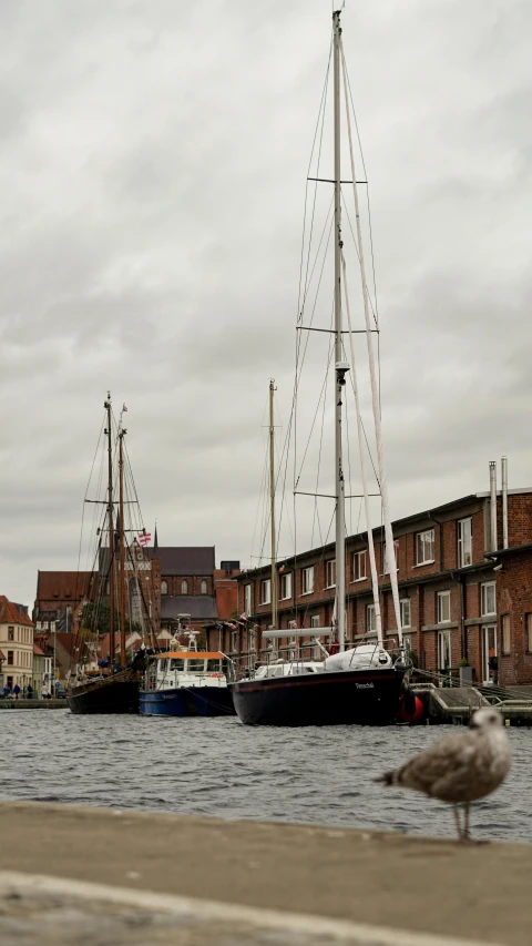 a bird standing next to a body of water, a photo, by Jan Tengnagel, pexels contest winner, happening, sail boats, delft, brown, thumbnail