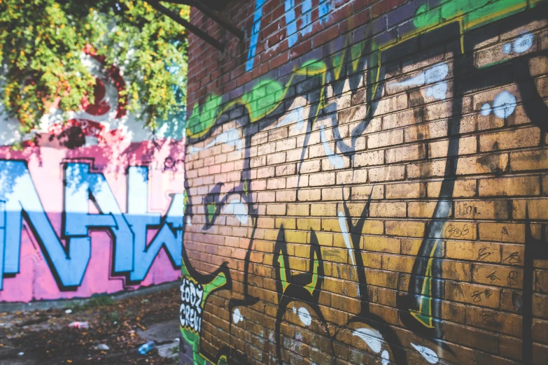 a brick wall covered in graffiti next to a fire hydrant, pexels contest winner, 🎨🖌, shady alleys, multicoloured, thumbnail