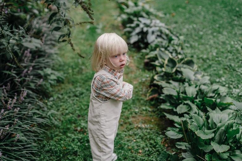 a little boy that is standing in the grass, inspired by Elsa Beskow, pexels contest winner, overalls and a white beard, standing in a botanical garden, sideways glance, upset