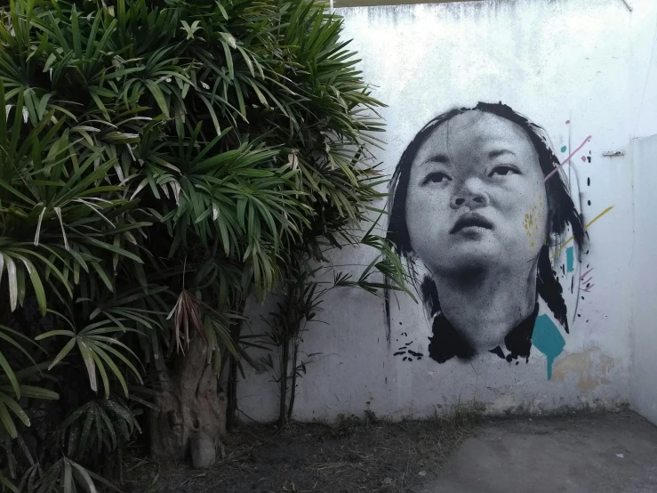 a wall with a painting of a woman's face on it, by Yi Insang, pexels contest winner, street art, grisaille, little kid, lucy liu portrait, in marijuanas gardens