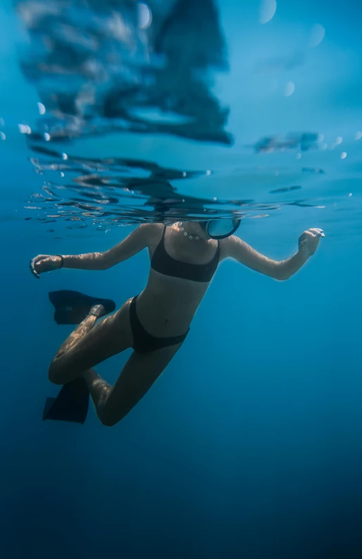 a woman in a bikini swims under water, by Jessie Algie, unsplash, great barrier reef, butterfly squid, no words 4 k, detail shot