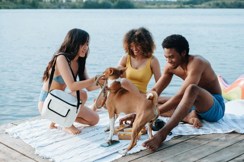 a group of people sitting on a dock with a dog, the handbag is over a wood table, millennial vibes, playing at the beach, medium breed