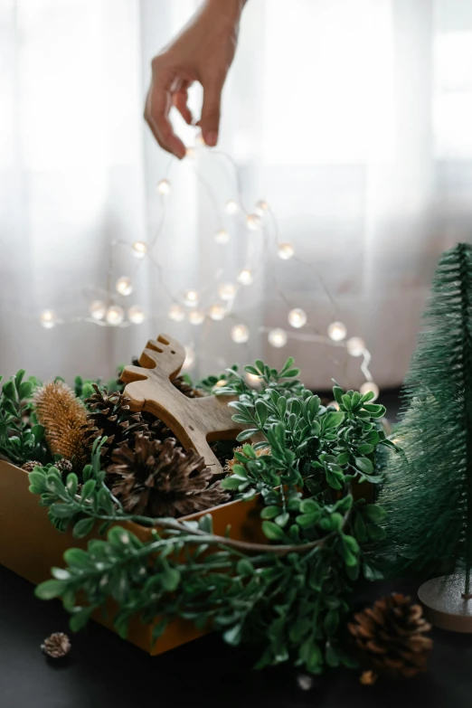 a person reaching for a small christmas tree, a digital rendering, pexels contest winner, string lights, natural materials, forest style studio shot, with a miniature indoor lake