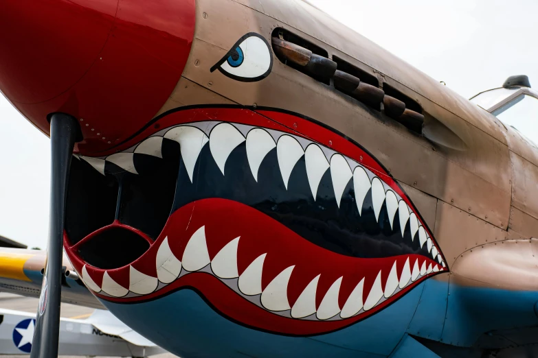 a close up of a plane with a shark's mouth painted on it, a colorized photo, by Paul Feeley, pexels contest winner, angular jawline, vehicle, monster teeth, albuquerque